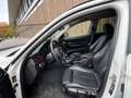 BMW 325 3-serie Touring 325d High Executive |Automaat|ACC| Blanc - thumbnail 11