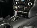 Ford Mustang 5.0L*GT FASTBACK*BRD-FZG* Jaune - thumbnail 18