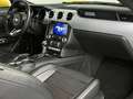 Ford Mustang 5.0L*GT FASTBACK*BRD-FZG* Jaune - thumbnail 15