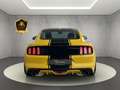 Ford Mustang 5.0L*GT FASTBACK*BRD-FZG* Jaune - thumbnail 8