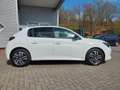 Peugeot 208 1.2 PureTech 100 Allure Pack ACC/LED/PDC/KAM/SH... Weiß - thumbnail 3