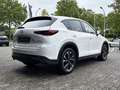 Mazda CX-5 2.0 ADVANTAGE *Rückfahrkamera*Navi*Sitzheizung* Blanc - thumbnail 3