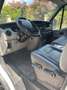 Nissan Interstar Blu/Azzurro - thumbnail 7