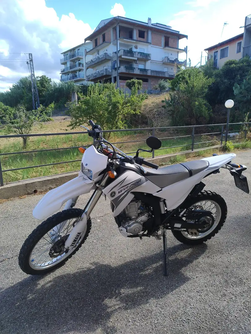 Yamaha WR 250 Alb - 1