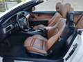 BMW 320 320d Cabrio Msport 184cv Bianco - thumbnail 2