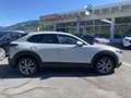 Mazda CX-30 G140 MT 2WD Centre-Line Weiß - thumbnail 4
