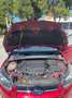 Ford Focus Focus 1.6TDCi Titanium 115 Rojo - thumbnail 18