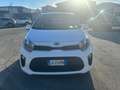 Kia Picanto Picanto III 2017 1.0  Gpl my20 Blanc - thumbnail 8