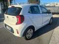 Kia Picanto Picanto III 2017 1.0  Gpl my20 Blanc - thumbnail 5