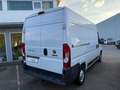 Fiat Ducato 130 L2H2 RS: 3450 mm Weiß - thumbnail 4