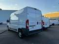 Fiat Ducato 130 L2H2 RS: 3450 mm Weiß - thumbnail 3