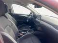Ford Focus 1.0 Ecoboost Active 125 Rojo - thumbnail 12