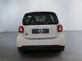 smart forTwo EQ  22KW SHZ Weiß - thumbnail 7