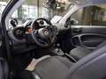 smart forTwo EQ  22KW SHZ Weiß - thumbnail 12