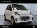 smart forTwo EQ  22KW SHZ Weiß - thumbnail 2