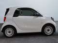 smart forTwo EQ  22KW SHZ Weiß - thumbnail 5
