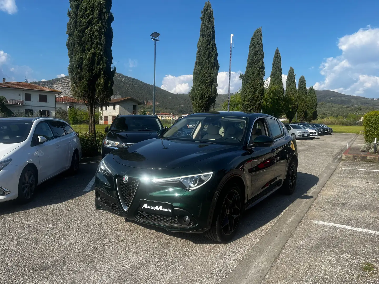 Alfa Romeo Stelvio 2.2 t Ti Q4 210cv auto VERDE VISCONTI Green - 1