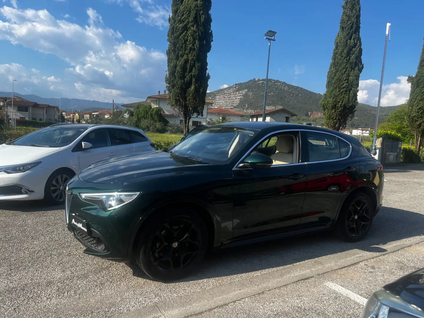 Alfa Romeo Stelvio 2.2 t Ti Q4 210cv auto VERDE VISCONTI Green - 2