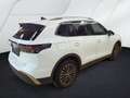 Volkswagen Tiguan 1.5eTSI DSG Elegance NAVI AHK KAMERA Blanc - thumbnail 4