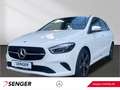 Mercedes-Benz B 180 Progressive Multibeam Rückfahrkamera AHK Blanc - thumbnail 1