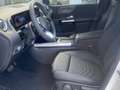 Mercedes-Benz B 180 Progressive Multibeam Rückfahrkamera AHK Blanc - thumbnail 11