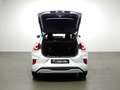 Ford Puma 1.0 ECOBOOST 92KW MHEV ST-LINE X 125CV 5P Blanco - thumbnail 7