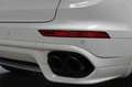 Porsche Cayenne 3.0 S E-Hybrid Platinum Edition 426PK NL Auto Blac Wit - thumbnail 28