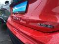 Volkswagen Tiguan III 2.0 TDI Elegance 4M Navi Pano AHK 360 Rot - thumbnail 4