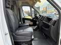 Fiat Ducato 35 3.0 Natural Power L4H2 AARDGAS METANO CNG - thumbnail 4