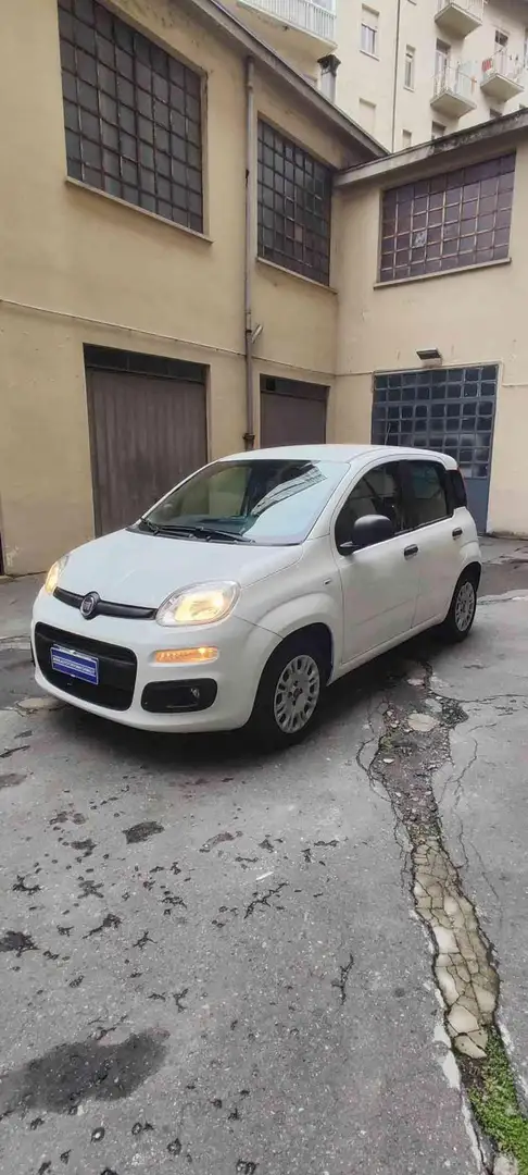 Fiat Panda 1.2 EasyPower Easy Blanc - 1