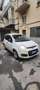 Fiat Panda 1.2 EasyPower Easy Blanc - thumbnail 2