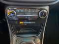 Ford Puma 1.0 EcoBoost Hybrid Titanium | Beperkte Voorraad! - thumbnail 19