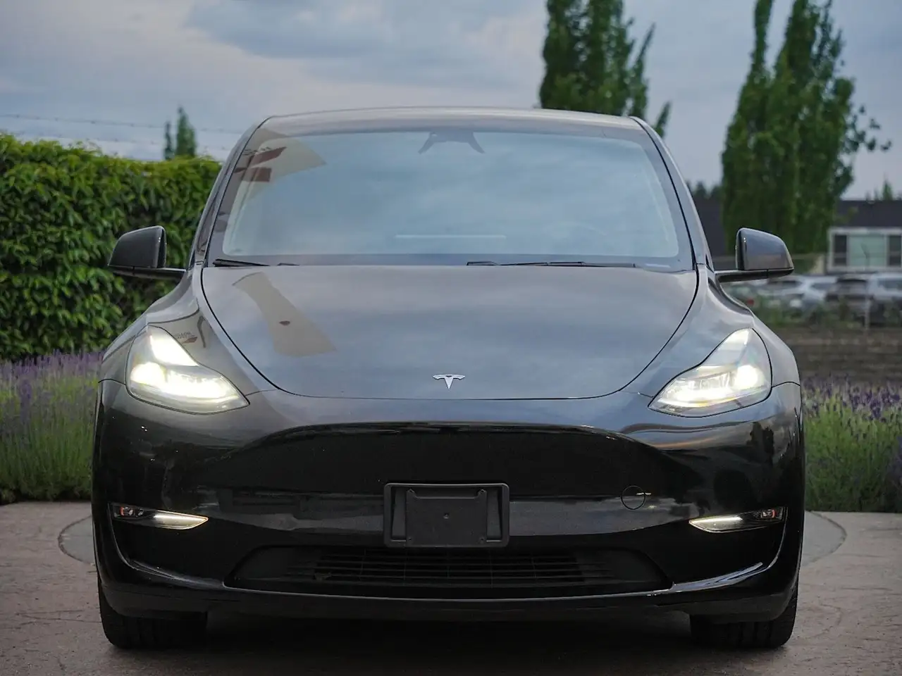 Tesla Model Y снимка Tesla Model Y