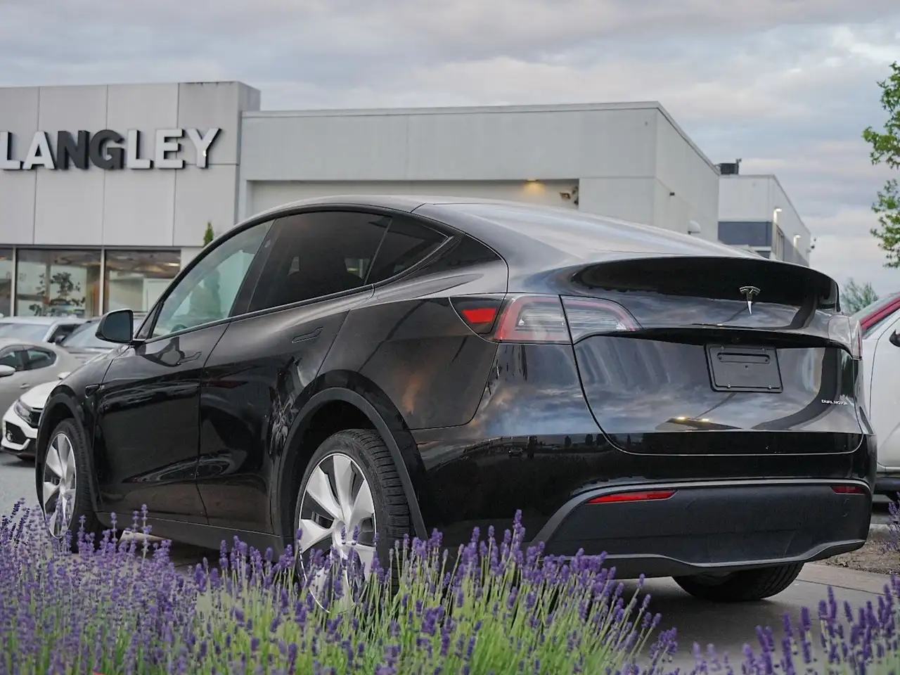 Tesla Model Y снимка Tesla Model Y