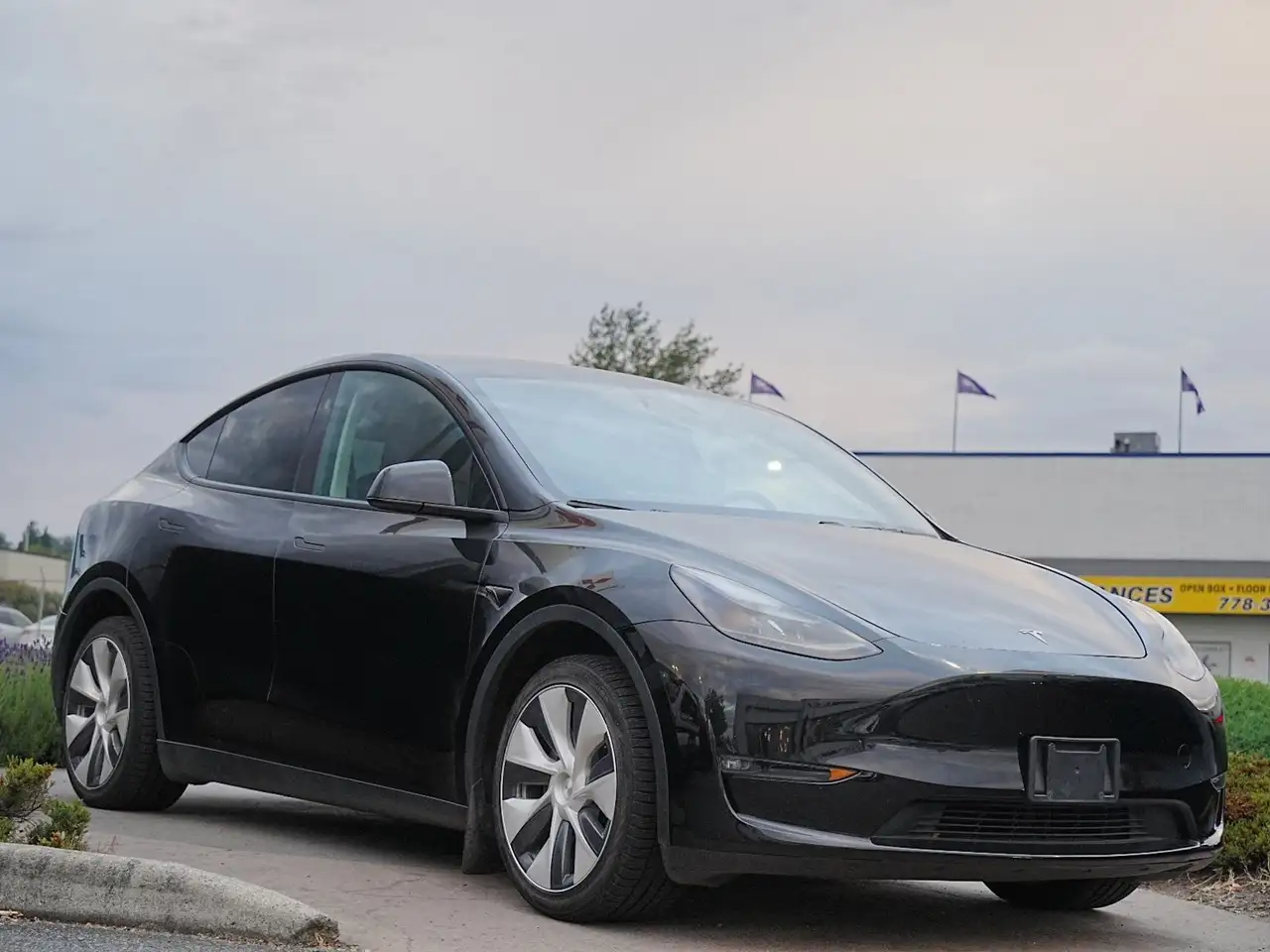Tesla Model Y снимка Tesla Model Y