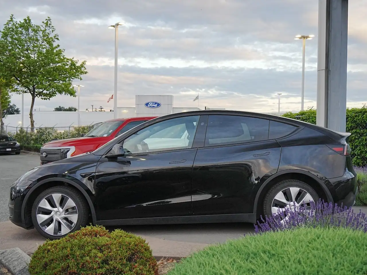 Tesla Model Y снимка Tesla Model Y