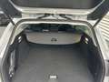 Ford Focus 1.0  EcoBoost Mild-Hybrid  Winterpaket/ LED/ PDC/ Silber - thumbnail 12