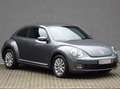 Volkswagen Beetle 1,2 TSI/Business/Komfort/SitzHZG/PDC/LMF Grey - thumbnail 3