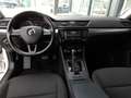 Skoda Superb Kombi 2,0 TDI DSG Weiß - thumbnail 3