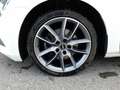 Skoda Superb Kombi 2,0 TDI DSG Weiß - thumbnail 13