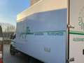 Iveco Daily isotermico Bianco - thumbnail 4