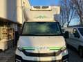 Iveco Daily isotermico Bianco - thumbnail 1