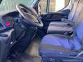 Iveco Daily isotermico Bianco - thumbnail 6