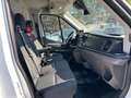 Ford Transit Kasten 350 L3 H2 Trend*KLIMA*AHK*KAMERA* Wit - thumbnail 3
