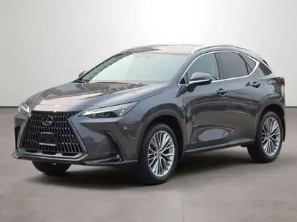 Gray 2022 Lexus NX Hybrid SUV / Crossover All-Wheel Drive Automatic