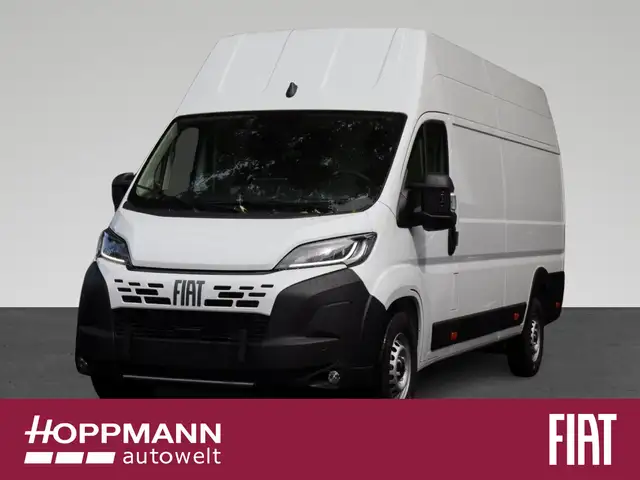 Fiat Ducato in White for sale