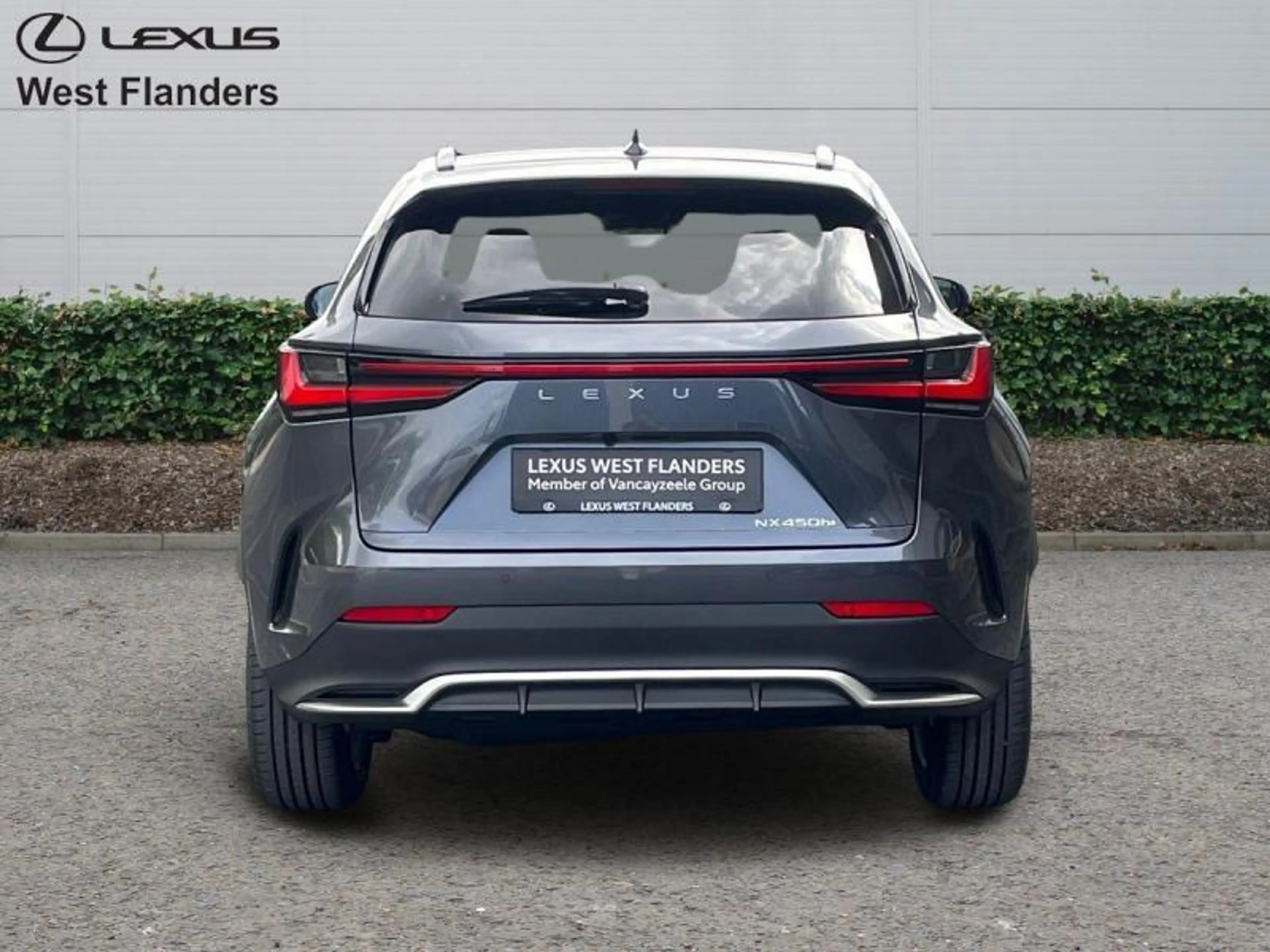 Lexus NX 450h+ F SPORT Line + Open Roof — photo 6