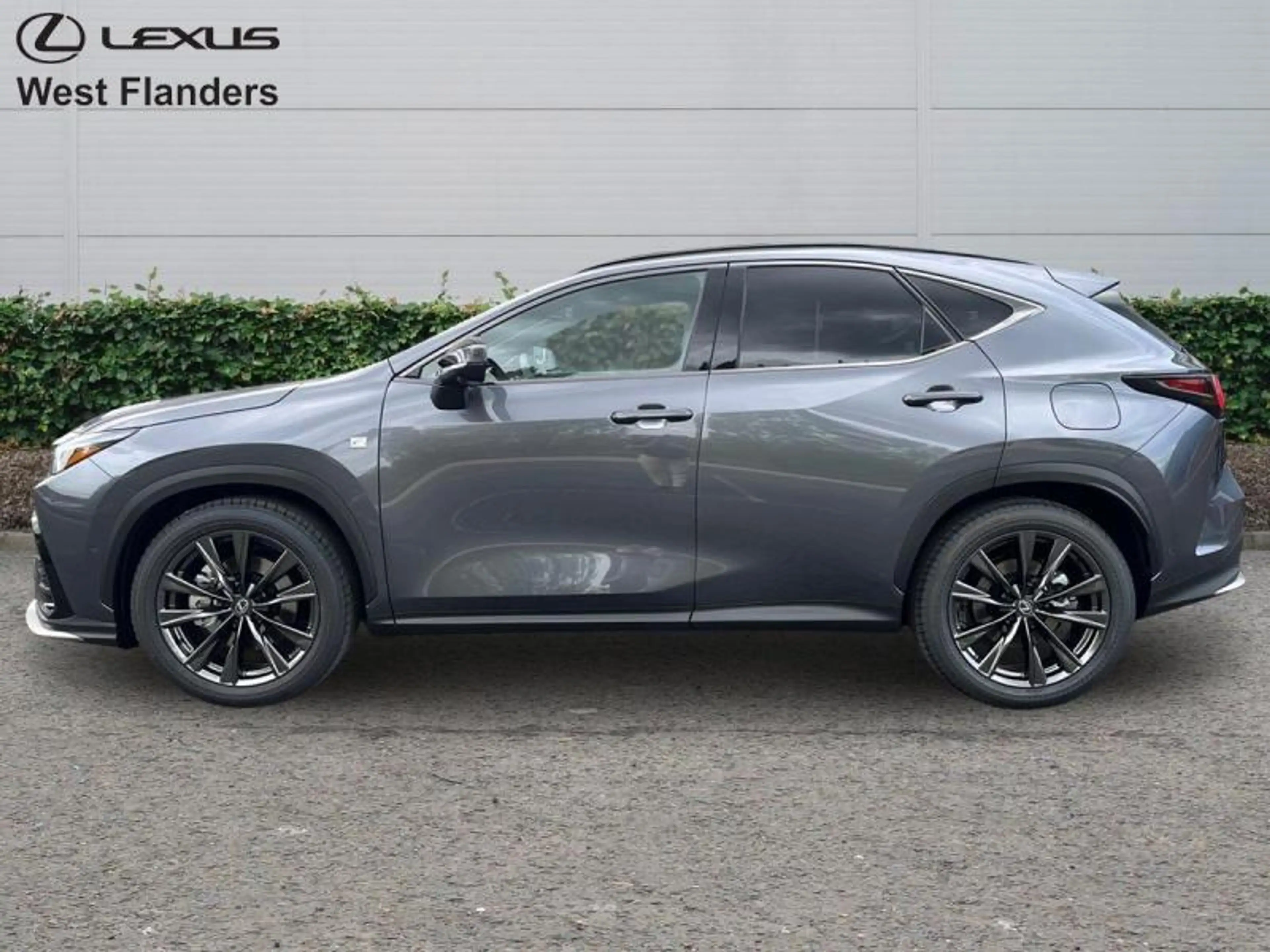 Lexus NX 450h+ F SPORT Line + Open Roof — photo 5