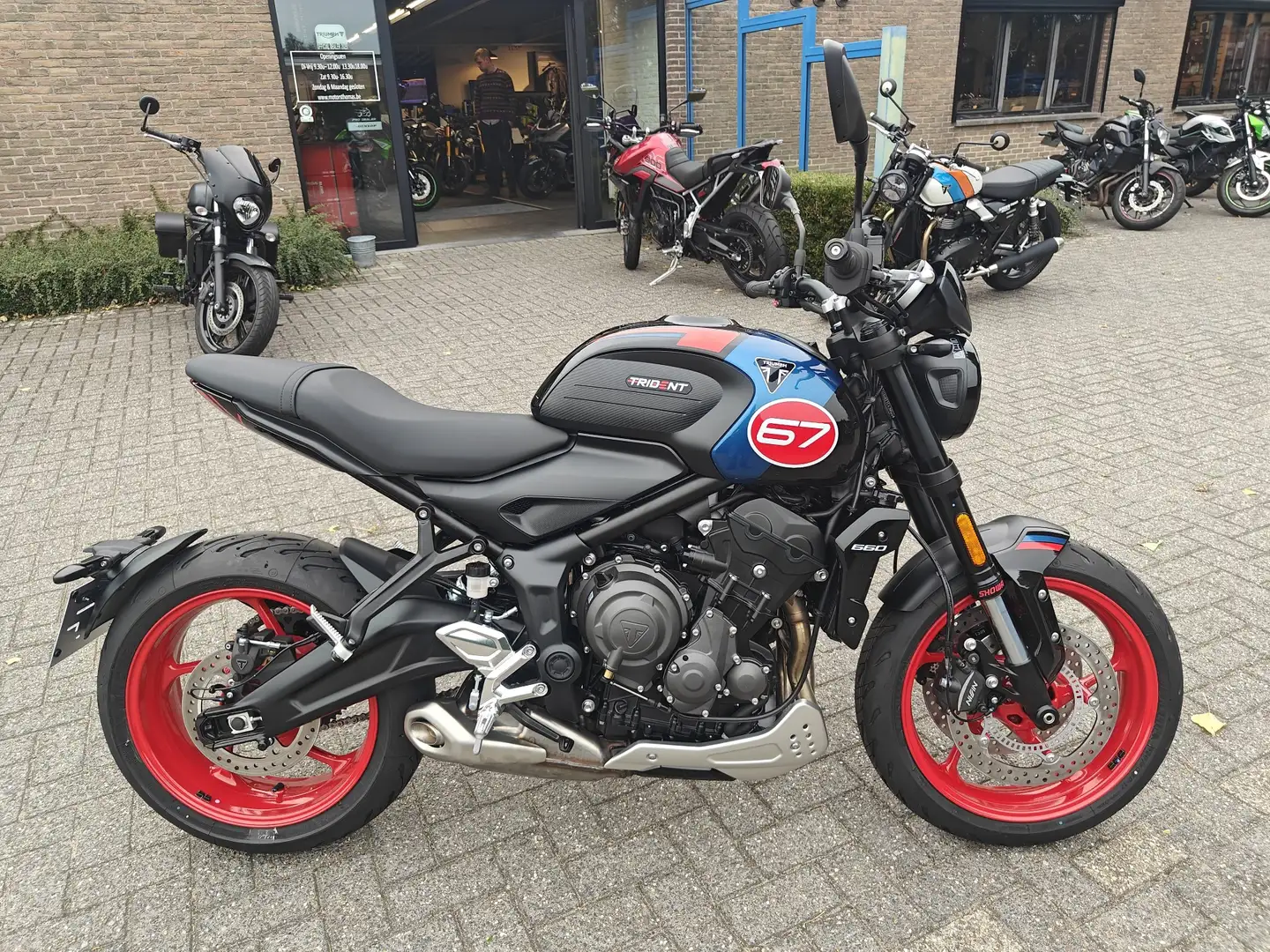 Triumph Trident 660 Triple Tribute - 2