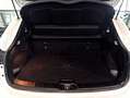 Nissan Qashqai 1.5 DCI TEKNA 360° TETTO PANO 18" EURO6 Blanc - thumbnail 14
